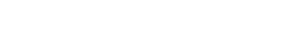 Budget Virtual